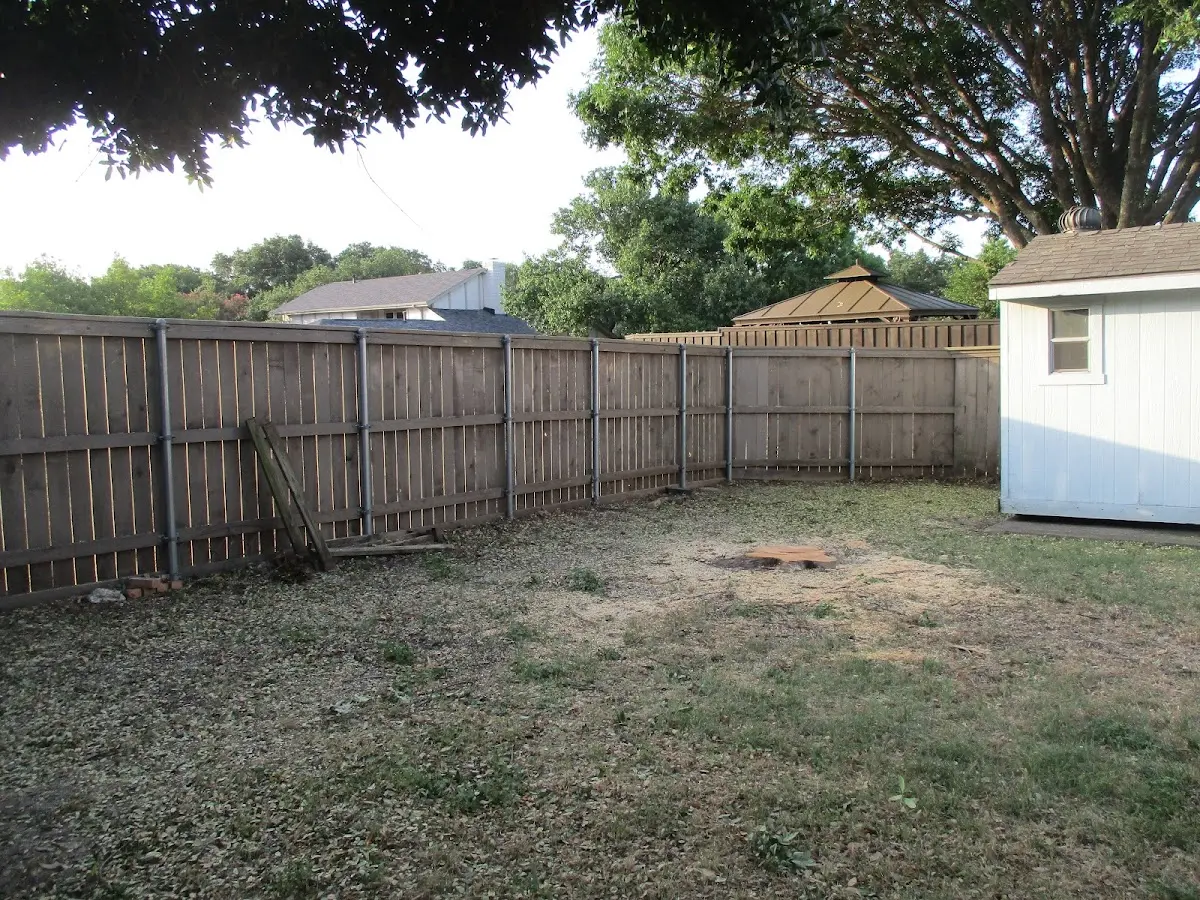 Cleared yard after professional tree removal in South Colton